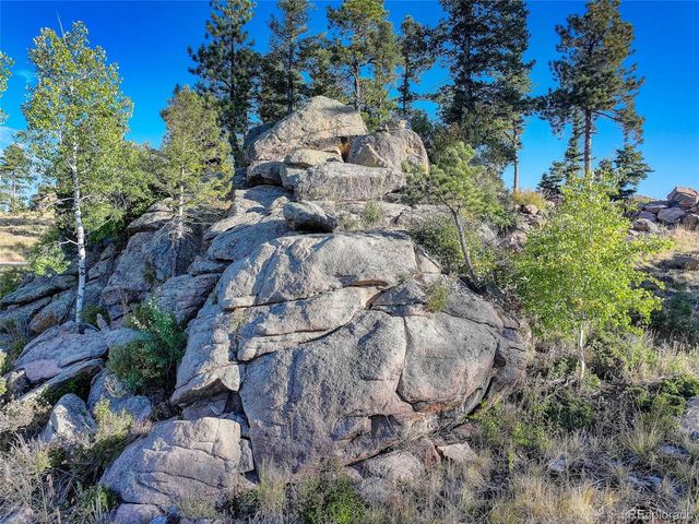 23047 Big Game Trail, Conifer, CO 80433