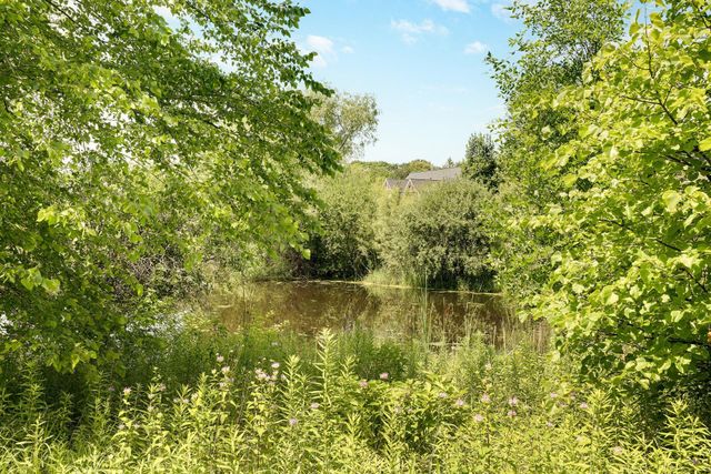 4270 Wild Meadows Drive, Medina, MN 55340
