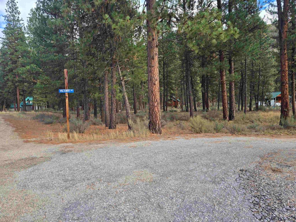 TBD Hwy 21 Lots 8,9, Lowman, ID 83637
