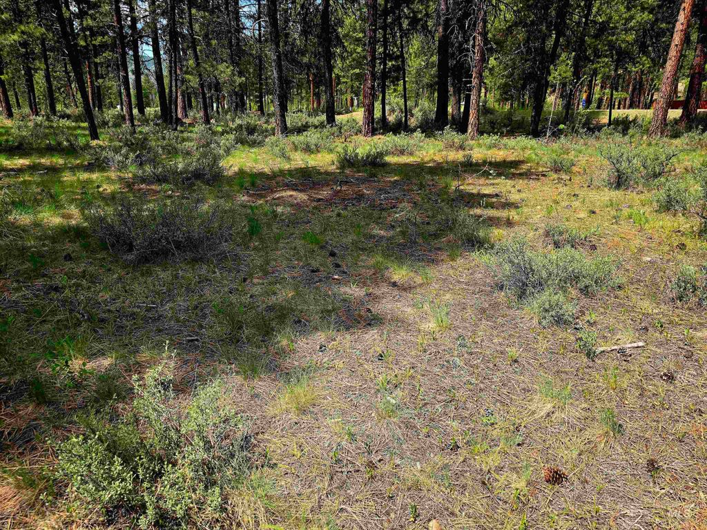 TBD Hwy 21 Lots 8,9, Lowman, ID 83637 photo 10