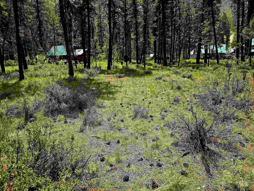 TBD Hwy 21 Lots 8,9, Lowman, ID 83637 photo 11