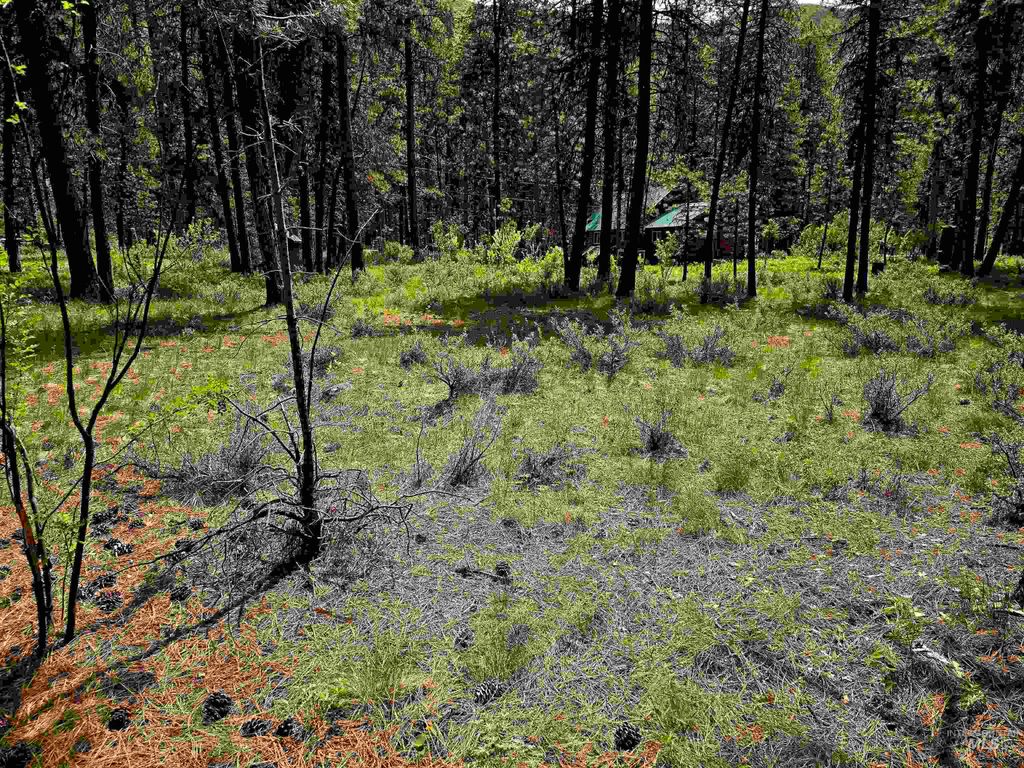 TBD Hwy 21 Lots 8,9, Lowman, ID 83637 photo 12