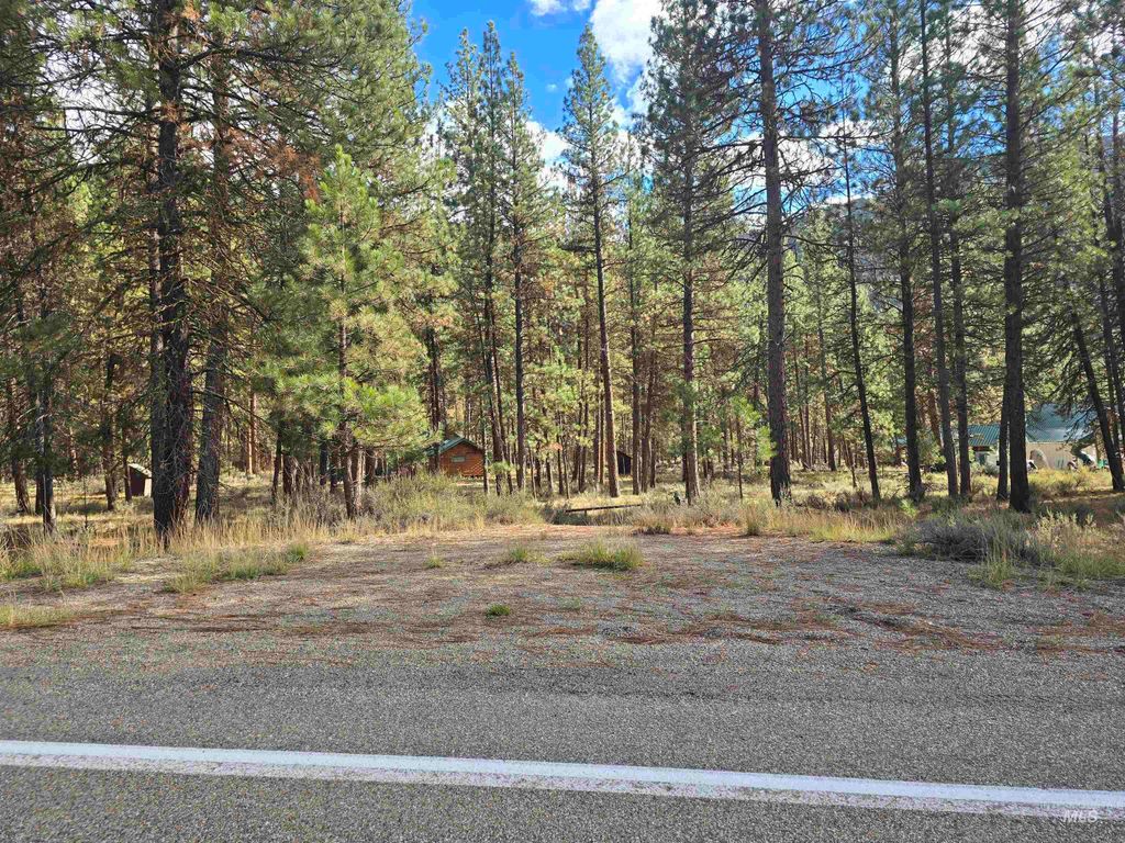 TBD Hwy 21 Lots 8,9, Lowman, ID 83637 photo 2
