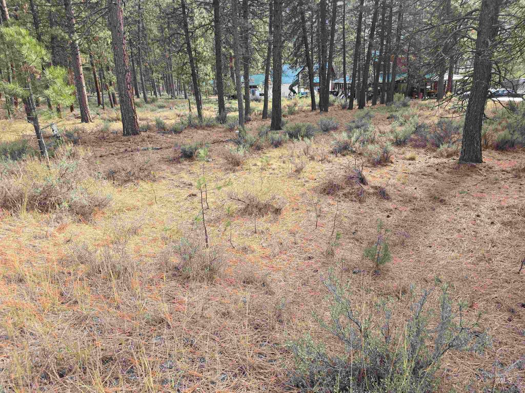 TBD Hwy 21 Lots 8,9, Lowman, ID 83637 photo 4
