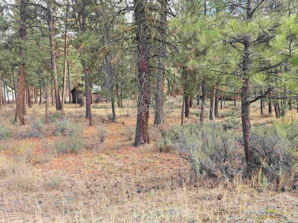 TBD Hwy 21 Lots 8,9, Lowman, ID 83637 photo 5