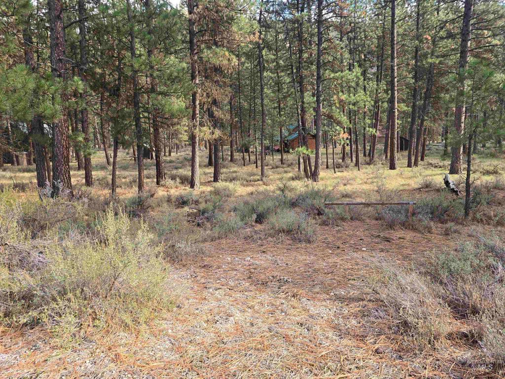 TBD Hwy 21 Lots 8,9, Lowman, ID 83637 photo 6