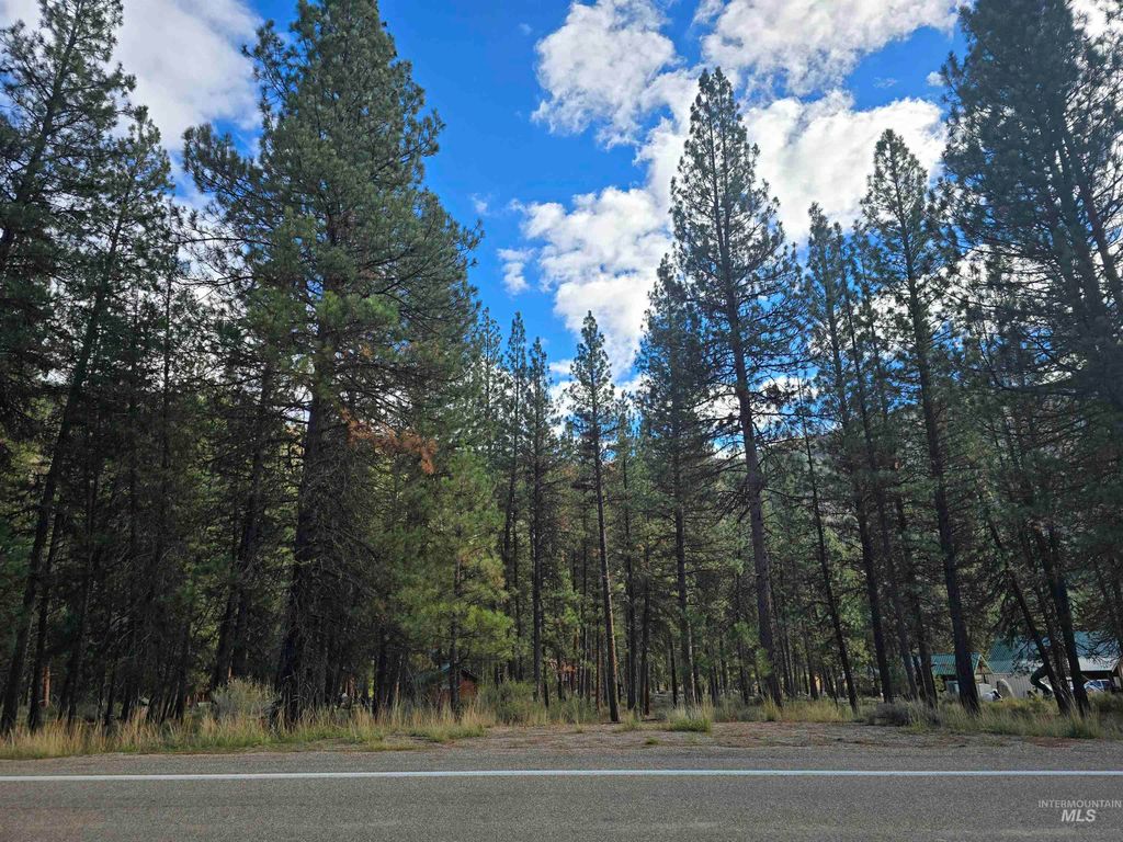 TBD Hwy 21 Lots 8,9, Lowman, ID 83637 photo 7
