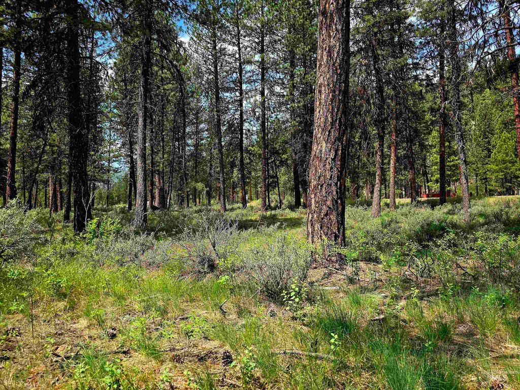 TBD Hwy 21 Lots 8,9, Lowman, ID 83637 photo 8