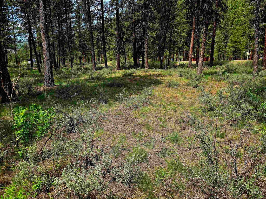 TBD Hwy 21 Lots 8,9, Lowman, ID 83637 photo 9