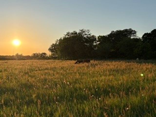 695 County Road 416 Road, Comanche, TX 76442
