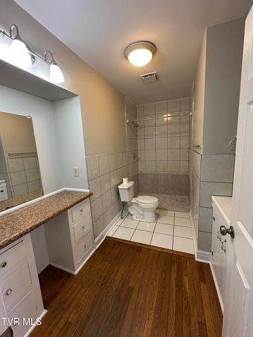 102 Woodland Drive, Johnson City, TN 37601