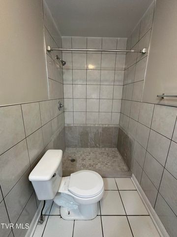 102 Woodland Drive, Johnson City, TN 37601