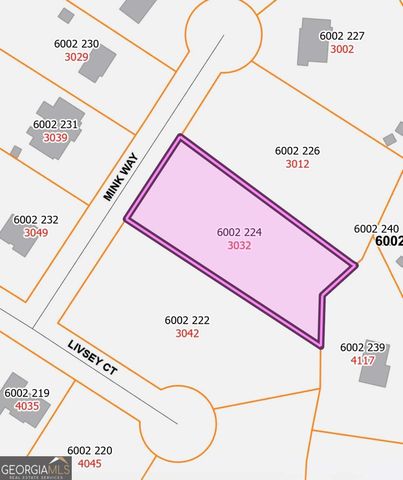 3032 Mink Way, Snellville, GA 30039