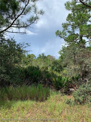 225 Tomahawk Street, Lake Placid, FL 33852