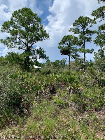 225 Tomahawk Street, Lake Placid, FL 33852