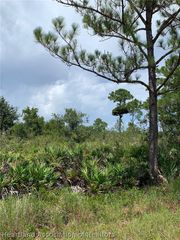 225 Tomahawk Street, Lake Placid, FL 33852