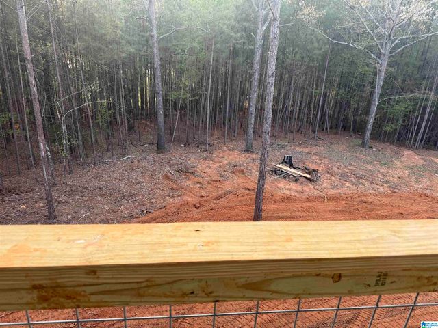 198 ESTATES CLUB DRIVE, Pell City, AL 35128