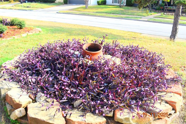 2423 Overbrook Drive, Arlington, TX 76014