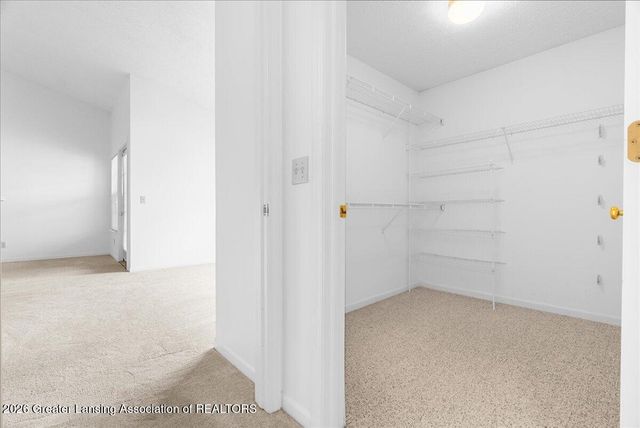 4452 Cricket Ridge Drive 204, Holt, MI 48842