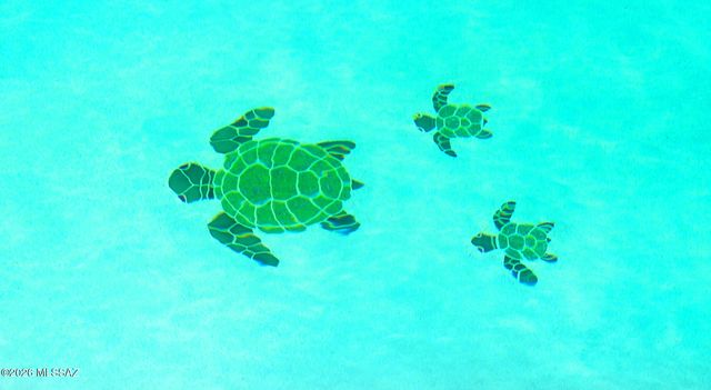 12648 N Golden Jubilee Drive, Marana, AZ 85653