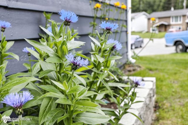 7515 E 20th Avenue, Anchorage, AK 99504