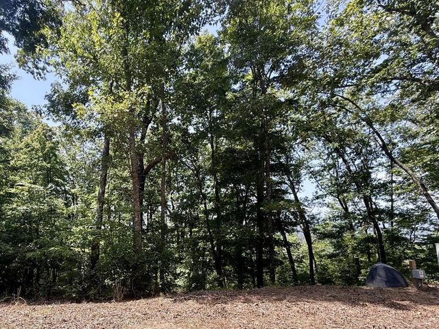 Lot 26 Grand Laurel, Brasstown, NC 28902