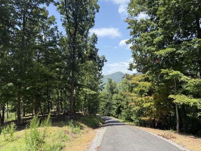 Lot 26 Grand Laurel, Brasstown, NC 28902