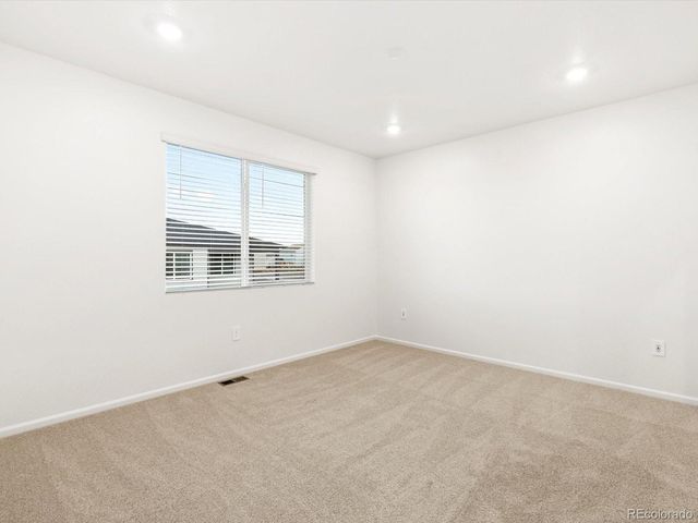 1633 Yampa River Drive, Windsor, CO 80550