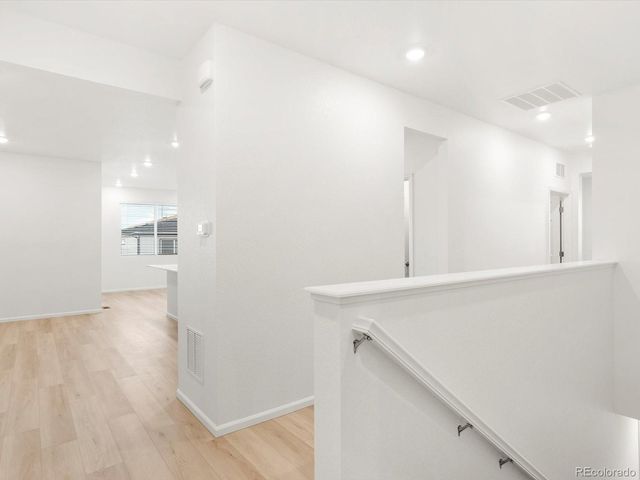 1633 Yampa River Drive, Windsor, CO 80550