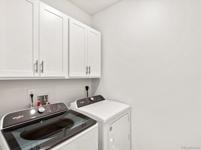 1633 Yampa River Drive, Windsor, CO 80550