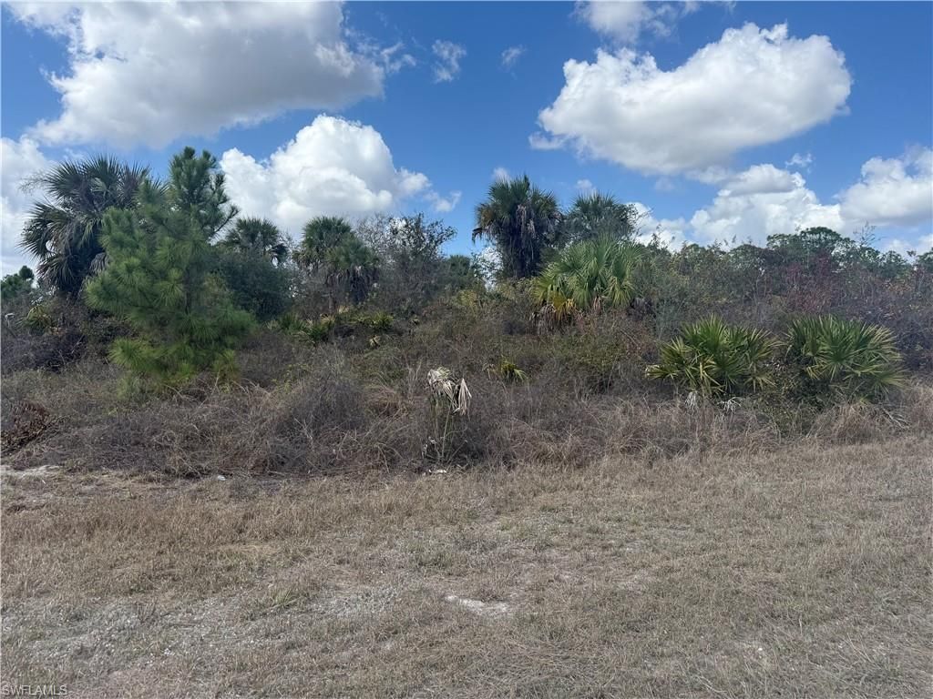 1900 18th ST, LEHIGH ACRES, FL 33972 — photo 3
