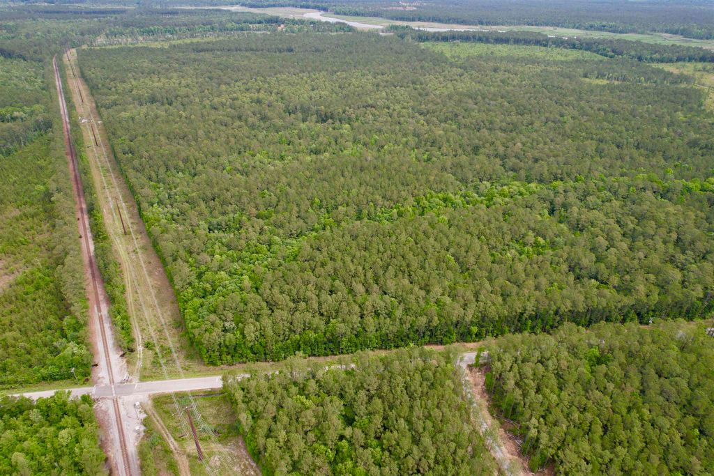 Tract A - TBD Pennyroyal Rd., Georgetown, SC 29440 — exterior