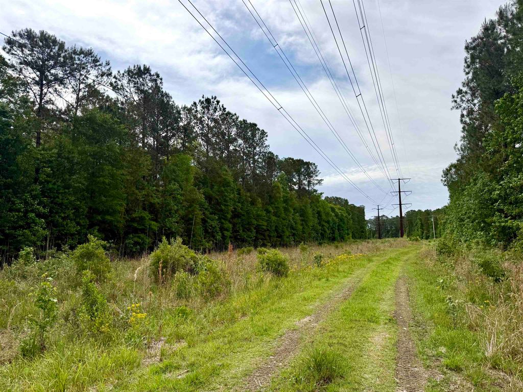 Tract A - TBD Pennyroyal Rd., Georgetown, SC 29440 — photo 2
