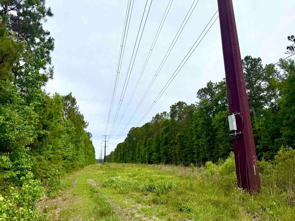Tract A - TBD Pennyroyal Rd., Georgetown, SC 29440 — photo 3