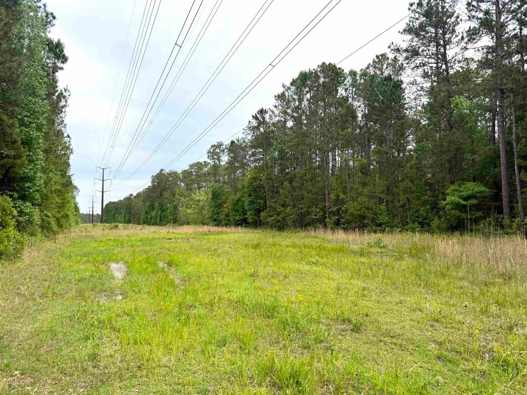 Tract A - TBD Pennyroyal Rd., Georgetown, SC 29440 — photo 4