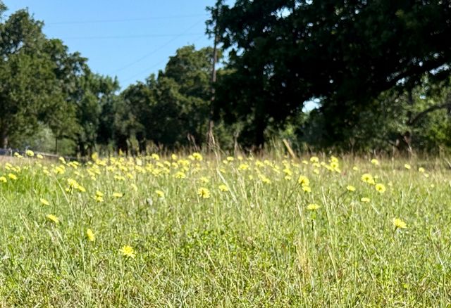 Lot 1 SE County Road 3186, Corsicana, TX 75109