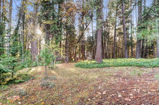 364 Gracie Rd, Nevada City, CA 95959