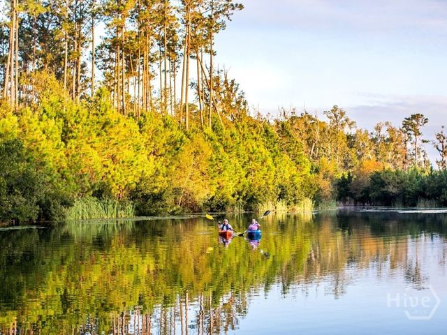 495 S Waterways Parkway, Richmond Hill, GA 31324