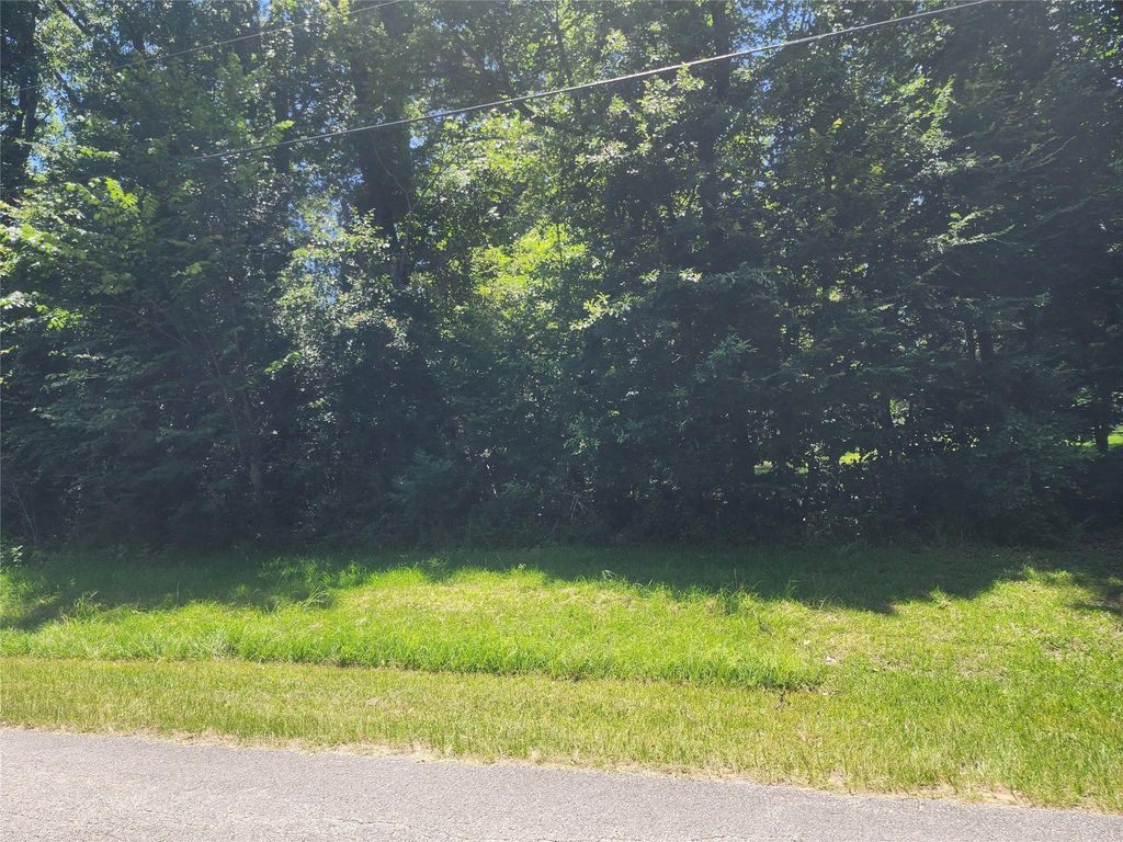TBD Northwoods Drive Drive, Point Blank, TX 77364