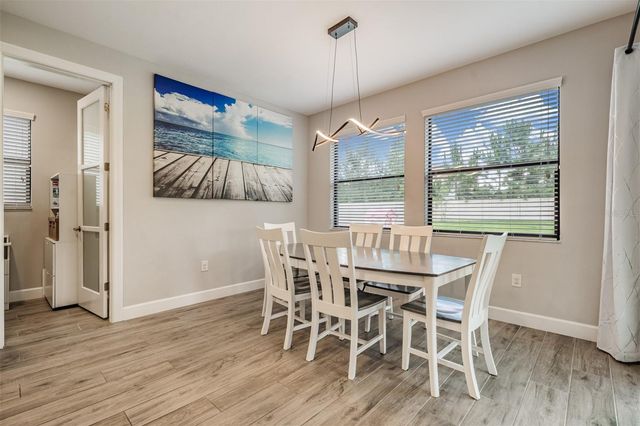 12316 FITZROY STREET, Odessa, FL 33556