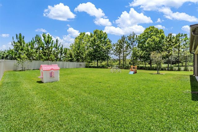 12316 FITZROY STREET, Odessa, FL 33556