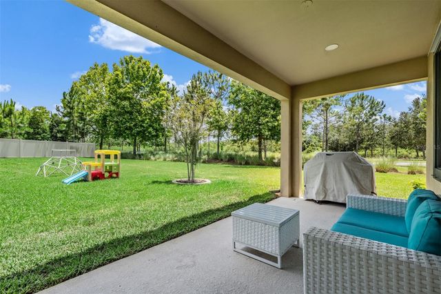 12316 FITZROY STREET, Odessa, FL 33556