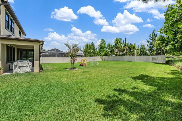 12316 FITZROY STREET, Odessa, FL 33556