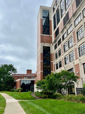 1028 Douglas Avenue, Naperville, IL 60540