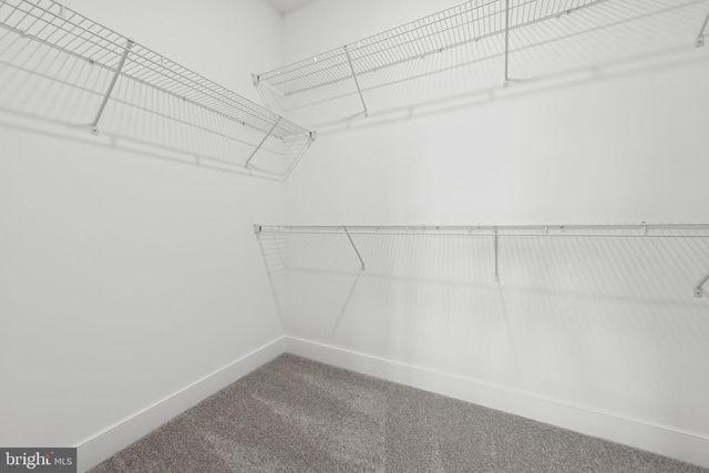 12689 DRUM CREEK WAY, Selbyville, DE 19975