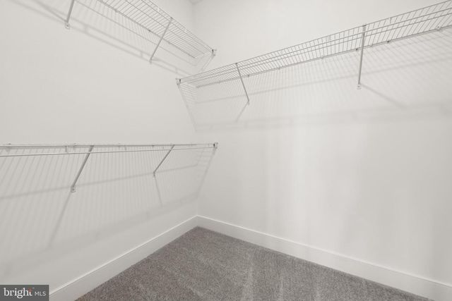 12689 DRUM CREEK WAY, Selbyville, DE 19975