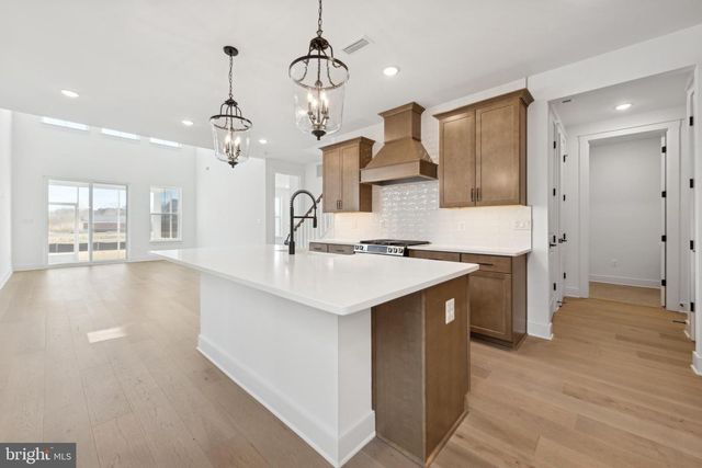 12689 DRUM CREEK WAY, Selbyville, DE 19975