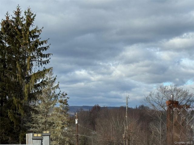 326 Long Lane, Bloomingburg, NY 12721