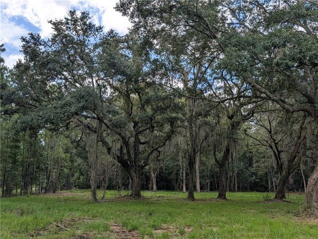 1515 Ford Blvd NE, Townsend, GA 31331