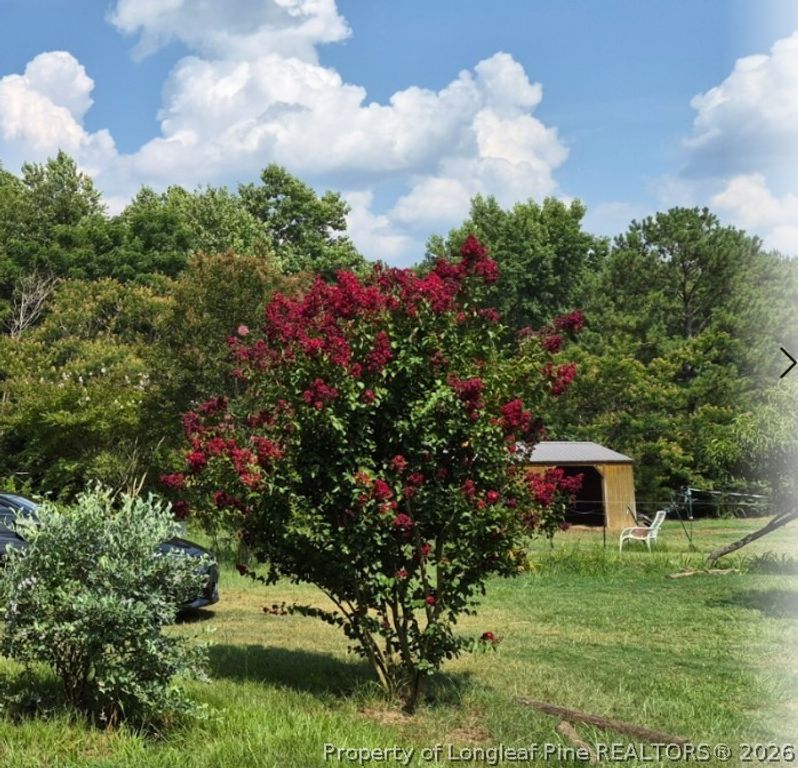 1011 Sweet Raspberry Lane, Lillington, NC 27546 — photo 3